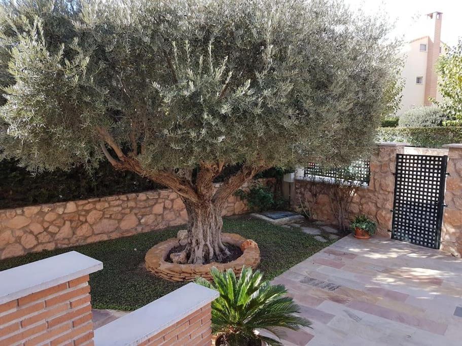 Chalet & Piscina-Jardin-Barbacoa Murcia Exteriör bild